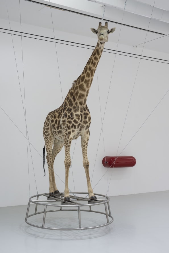 DEEDS NEWS - Christiane Moebus - 04-Installationsansicht Giraffe Foto Herling Herling Werner Sprengel Museum Hannover-min