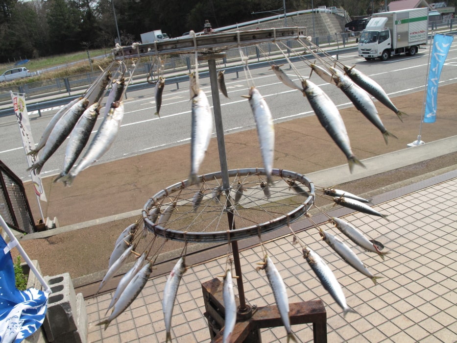 DEEDS NEWS - courtesy of the artist and Air de Paris - Shimabuku - Fish Spin Drying Device