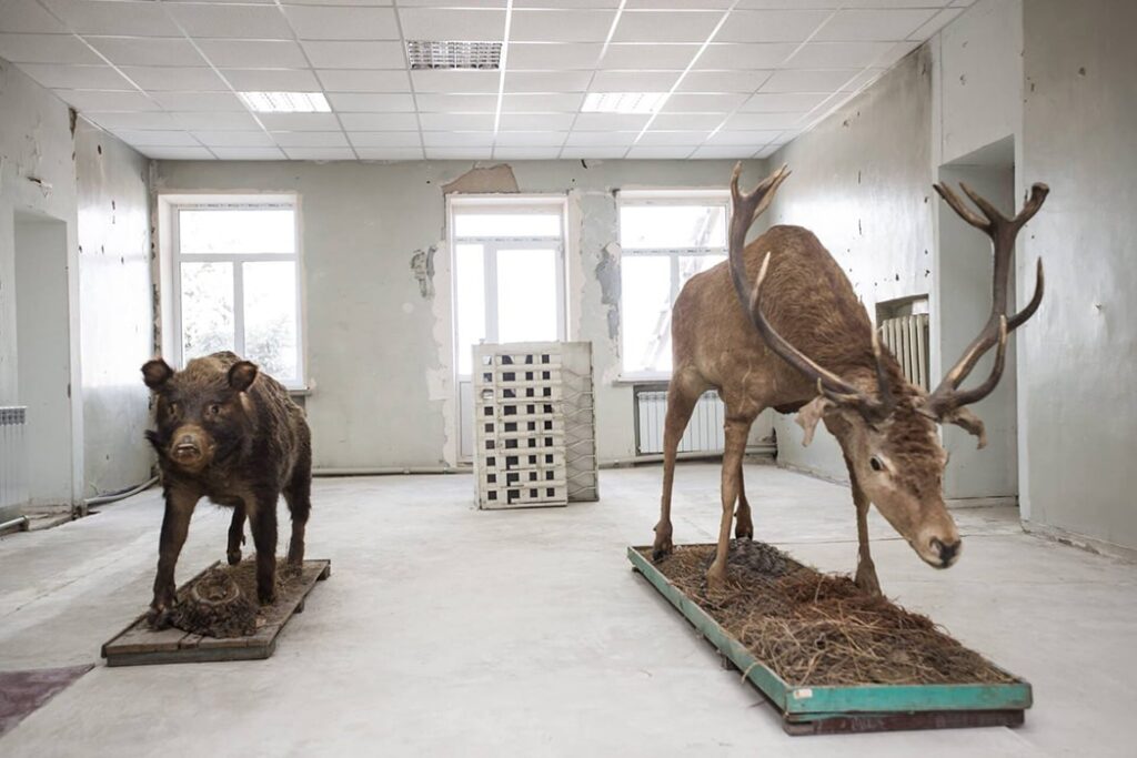 DEEDS NEWS - Anna Scherbyna & Uliana Bychenkova - Deer and Spinning-wheel - Ausstellungsansicht, Stanytsia Luhansk, 2018