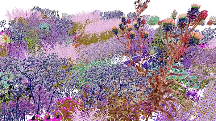 DEEDS NEWS - Alexandra Daisy Ginsberg Pollinator Pathmaker LAS-Edition_3 - Alexandra Daisy Ginsberg