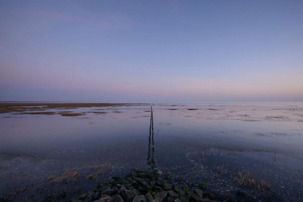 DEEDS NEWS - Alfred Ehrhardt Stiftung - Marc-Oliver Schulz, Holzbuhne bei auflaufendem Wasser 09.03.2014 -c- Marc-Oliver Schulz