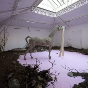 DEEDS-NEWS-An-Opera-out-of-Time-Hamburger-Bahnhof-Yes-but-the-sea-courtesy-Petrit-Halilaj-Mennour-foto-Fabrice-Seixas.jpg