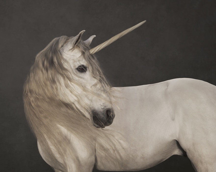 DEEDS.NEWS - Barberini - Marie Cécile Thijs