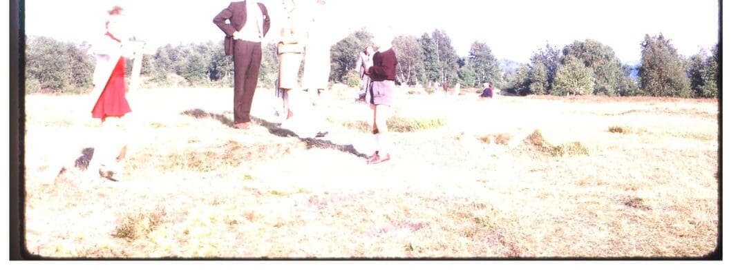 DEEDS NEWS - Bienen Blatt 8 _ Foto_Dagmar Boenigk