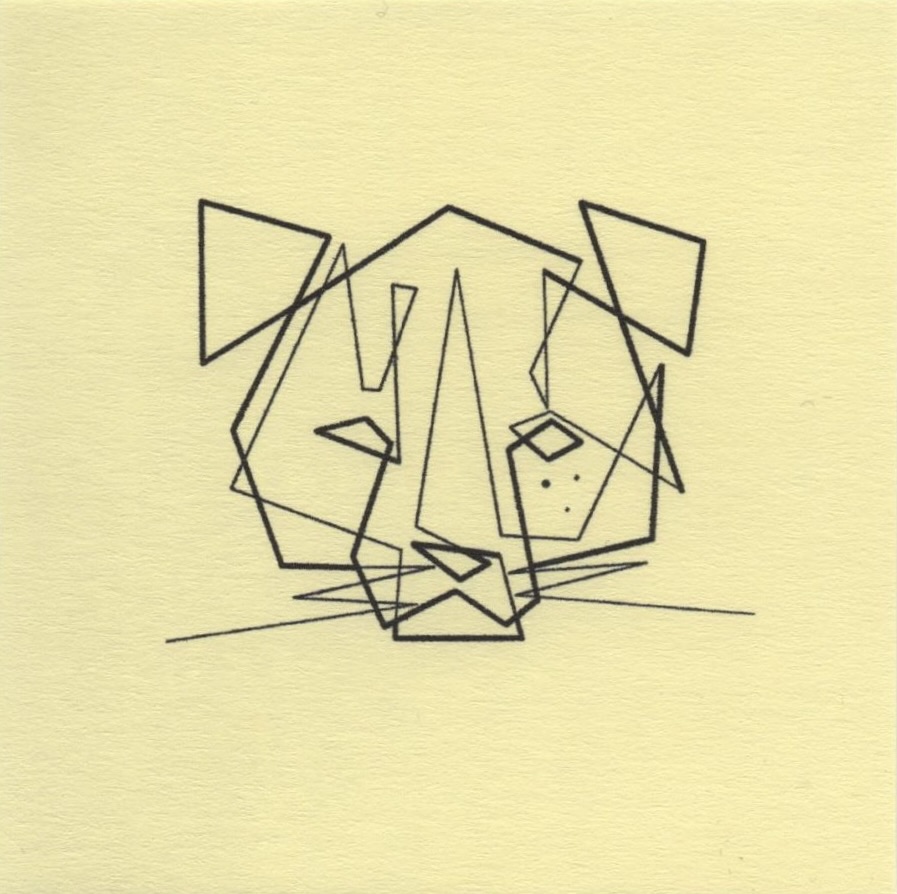 DEEDS NEWS - CSR.ART - Mo Ganji - 009-Andean Cat-Front -c- 360degrees.art