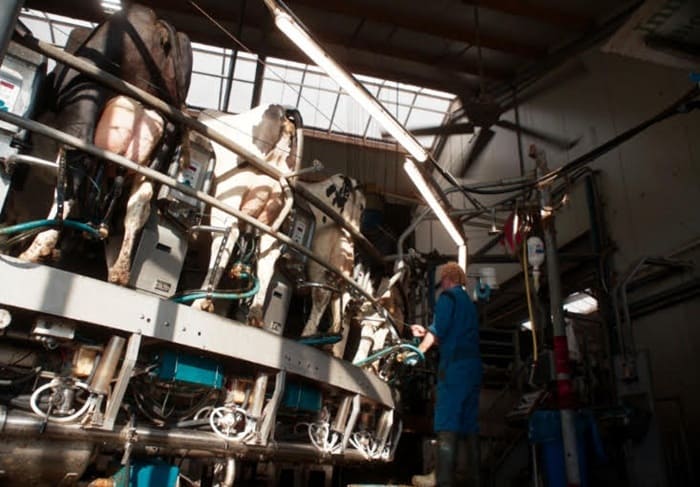 DEEDS NEWS - Architekturmuseum der TUM in der Pinakothek der Moderne - The True Type von Nicole Humiński und Víctor Muñoz Sanz