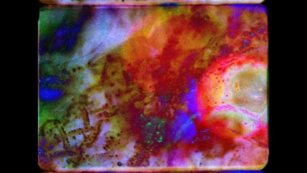 DEEDS NEWS-Schering Stiftung-Colectivo los Ingravidos 4