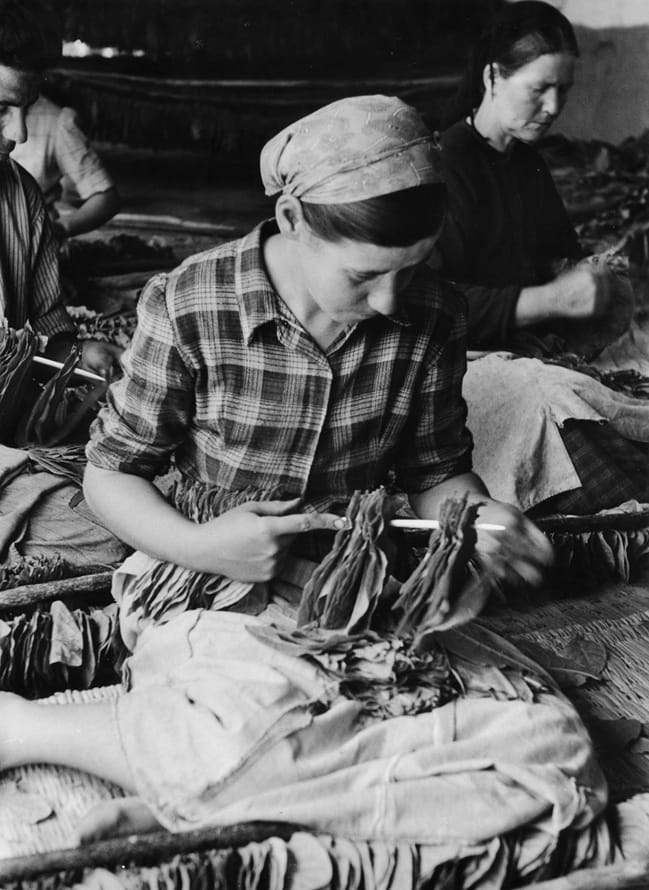 DEEDS.NEWS - Alfred Ehrhardt Stiftung - Alfred Ehrhardt - © Alfred Ehrhardt Stiftung