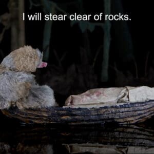 DEEDS-NEWS-Eintritt-frei-Haus-am-Waldsee-Peter-Waechtler-Untitled-Sloth-2017-film-stil-HD-video-10-min-Courtesy-the-artist-Galerie-Lars-Friedrich.jpg